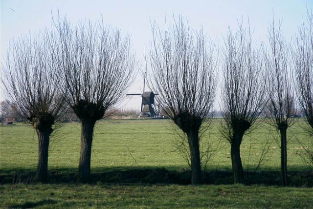 noordeloosdebooterslootsemolenmeerkerkpoldermiddelbroek2002041