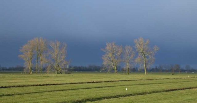 noordeloospolderbotersloot09032005