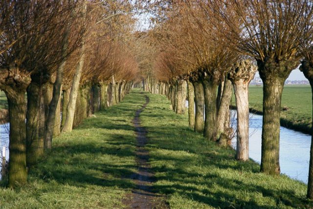 noordelosekade1902041