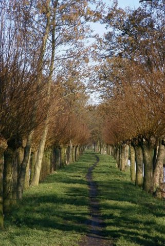 noordelosekade1902042