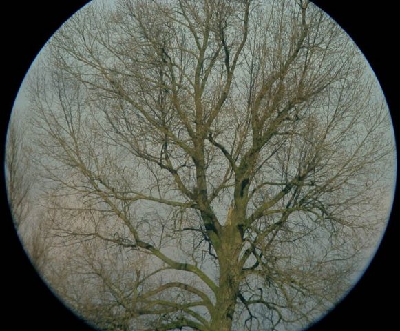 noordelosekade1902043