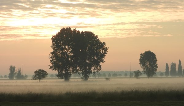 polderlangscheiwijkgorinchem170520202