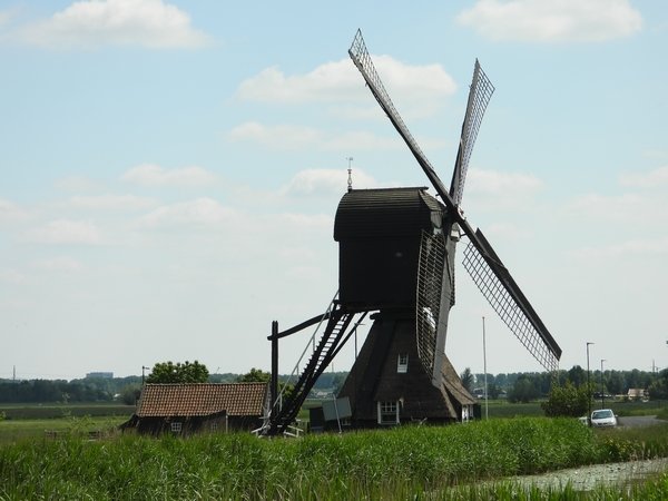 scheiwijksemolenhoornaar200520202