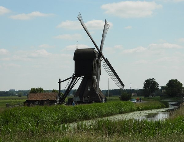 scheiwijksemolenhoornaar200520203