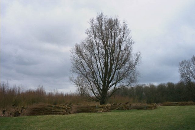 schelluinenuiterwaarddeavelingen18020410