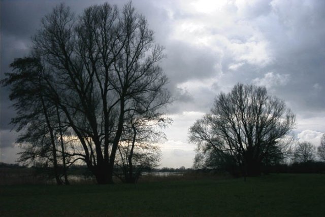 schelluinenuiterwaarddeavelingen1802044