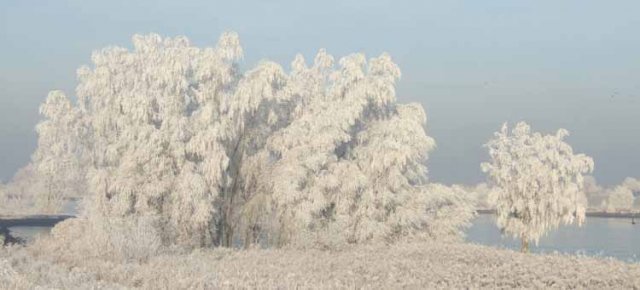 tienhovenlekslotherlaer22122007