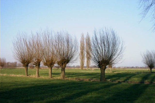 tienhovenpolder2002042