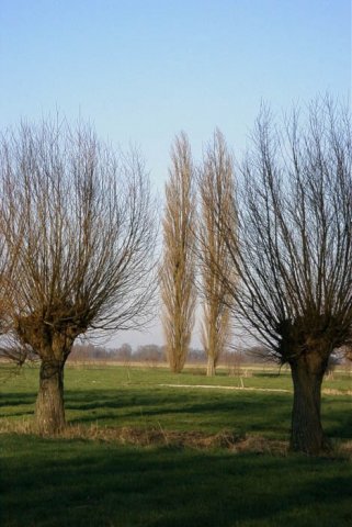 tienhovenpolder2002043