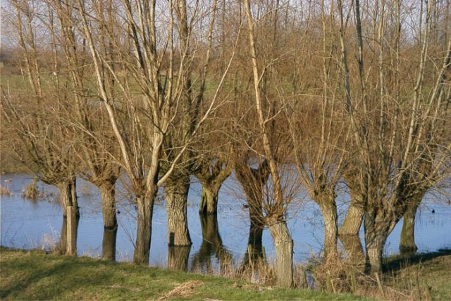 tienhovenuiterwaard2002044