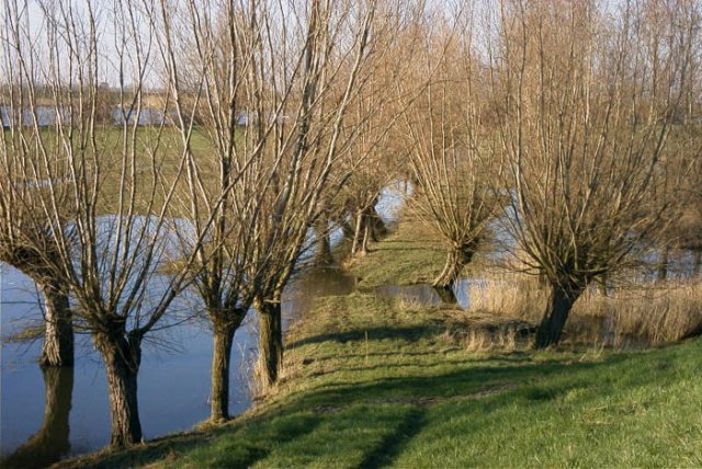 tienhovenuiterwaard2002045