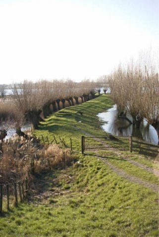 tienhovenuiterwaard2002047