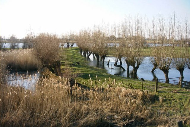 tienhovenuiterwaard2002048