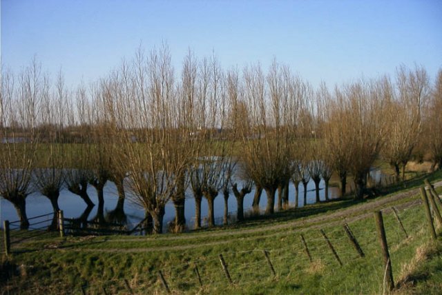 tienhovenuiterwaard2002049