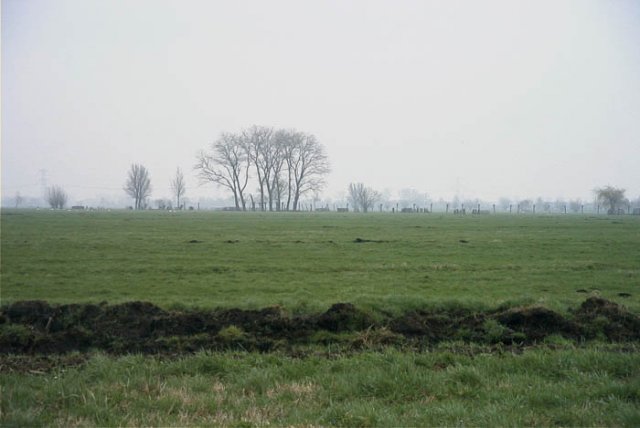 wijngaarden12020410