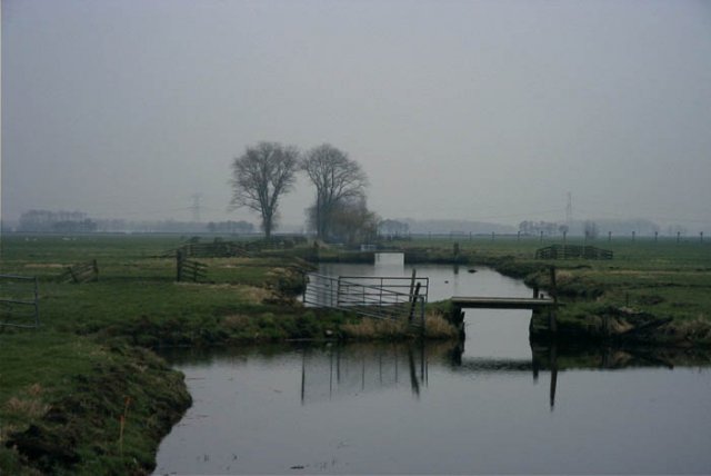 wijngaarden1202047