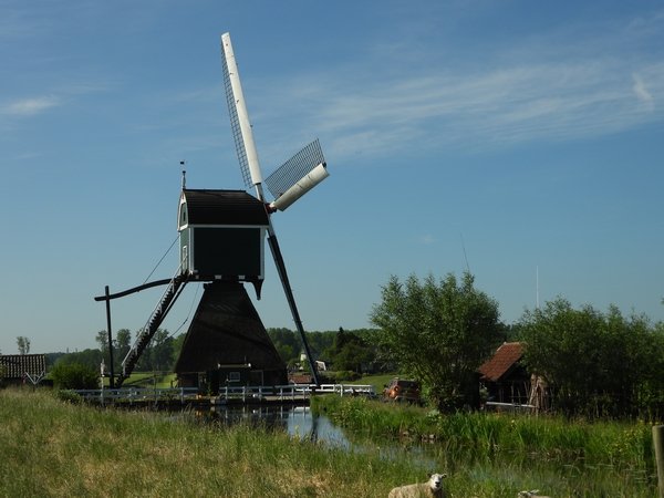 wingerdsemolenbleskensgraaf200520202