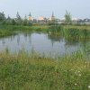 gorinchemoostvuurlibellenbiotoop11062007