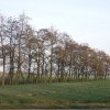 goudriaanpoldernieuwgoudriaan210204