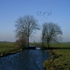 goudriaanpolderoudgoudriaan190204