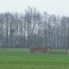 hardinxveldgiessendampolderhetmiddenblok15122004