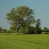 historischlandschapselementpoldermiddelbroekmeerkerk170520201