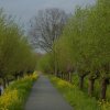 hoogbloklandbeemdweg17042019