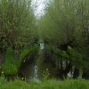 hoornaarlagegiessen17042019