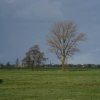 hoornaarlagegiessndescheiwijksemolen230204