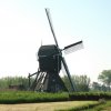 oudendijksemolenhoornaar20052024