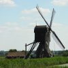 scheiwijksemolenhoornaar200520202