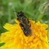 groteroetbijvrouwberlicum11062018_1
