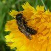 groteroetbijvrouwberlicum11062018_2