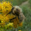 moshommeltiengemeten21102018_2