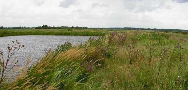 westbroekse_zodden,_20_juli_2005