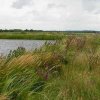 westbroekse_zodden,_20_juli_2005