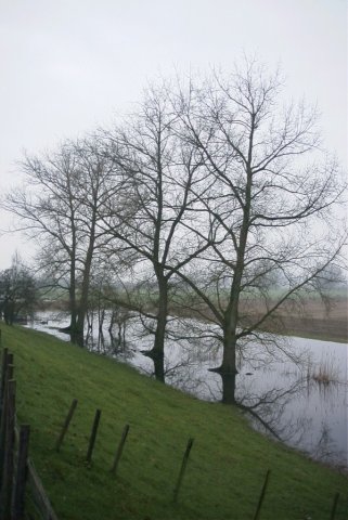 achthoven,_130204_(44)