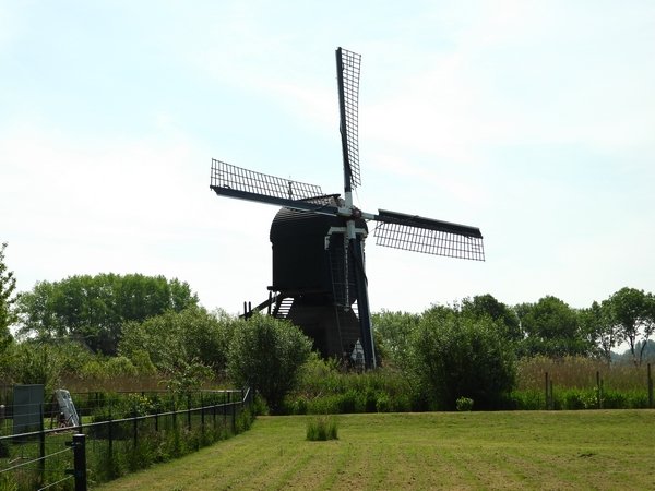 hoekmolenheienboeicop210520206