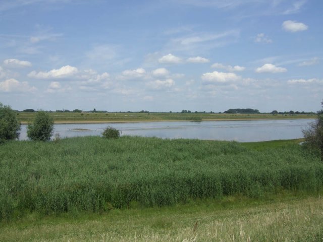 lekuiterwaard_everdingen,_17_juni_2008