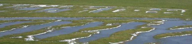 lekuiterwaard_lexmond-vianen,_25_feb._2005_(1)