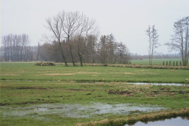 molenkade,_130204_(2)