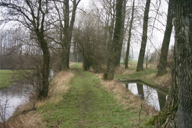 molenkade,_140204_(1)