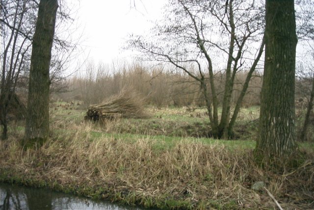 molenkade,_140204_(2)