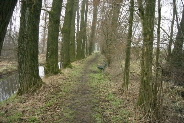 molenkade,_140204_(3)