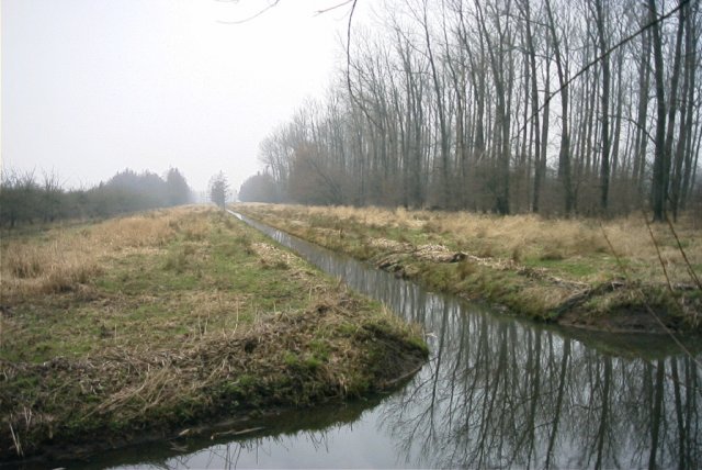 molenkade,_140204_(4)