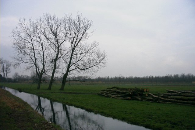 molenkade,_140204_(8)