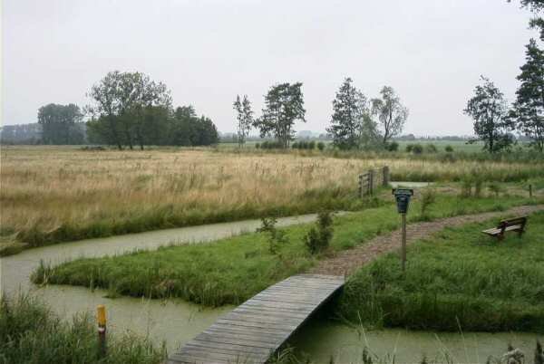 molenkade,_15_juli_(1)