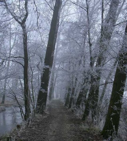 molenkade,_1_febr._2006_116