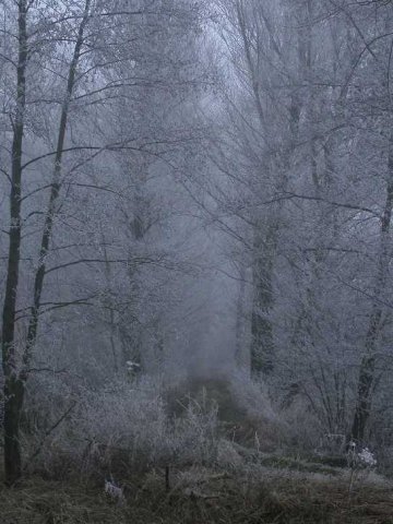 molenkade,_1_febr._2006_121