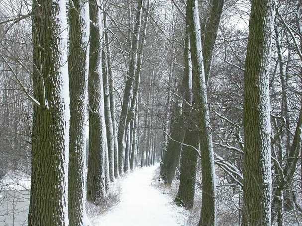 molenkade,_3_maart_2005